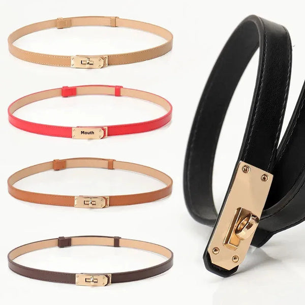 Chic Adjustable Waist Belt